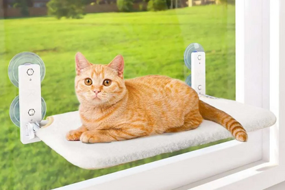 Cat Window Hammock Pet Perch
